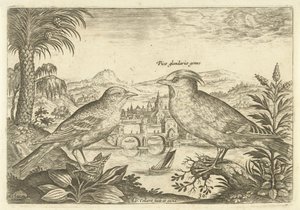 Two birds in a landscape (Birds series title) (Avivm Vivae series title) by Adriaen Collaert