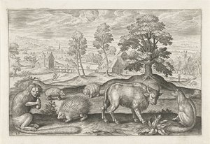 Various Animals