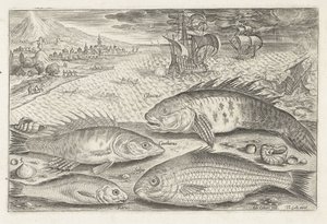 Four Fish on the Beach (Fish) (Piscivm vivae icones)