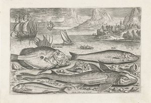 Four Fish on the Beach (Piscivm vivae icones series)