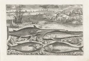 Four Fish on the Beach