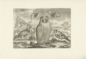 Birds and Butterflies in a Landscape (Birds / Avivm vivae) by Adriaen Collaert