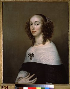 Portrait of a Lady by Adriaen Hanneman