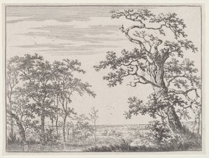 Landscape with a Stream and an Ancient Tree by Adriaen Hendricks Verboom