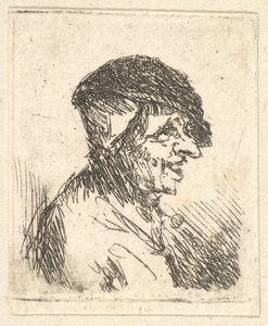 Head of Peasant, 17th century by Adriaen Jansz. van Ostade