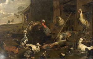 Hens, Ducks and a Turkey Cock