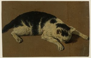 Cat Lying with Head Between Front Paws by Adriaen van de Velde (attributed to)