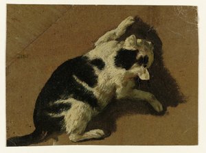 Cat Playing by a Wall by Adriaen van de Velde (attributed to)