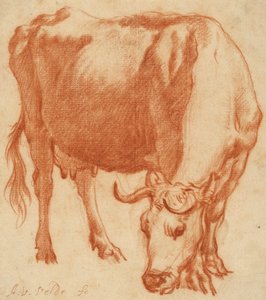 A cow grazing, c.1663