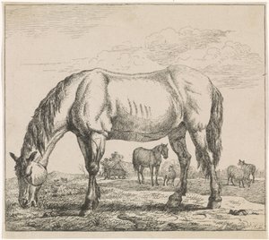 Grazing Horse (series title: Cattle) by Adriaen van de Velde