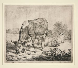 The Pied Ox and the Three Sheep by Adriaen van de Velde