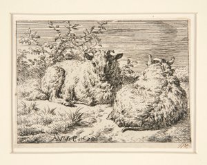 The Two Sheep by Adriaen van de Velde