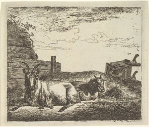 Recumbent Goats, from Different Animals by Adriaen van de Velde
