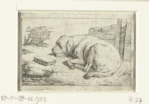 Sleeping Dog
