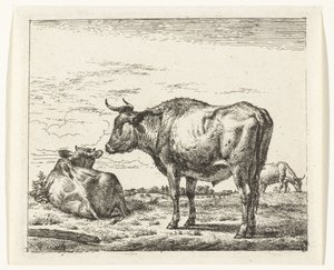 Standing Bull