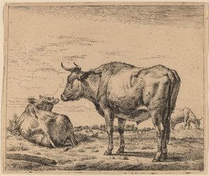 Standing Bull