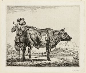 The Cowherd and the Bull
