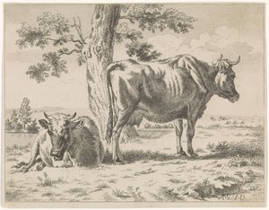 Two Cows by a Tree (series title) by Adriaen van de Velde