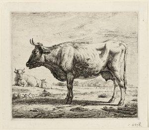 Two Cows and a Sheep