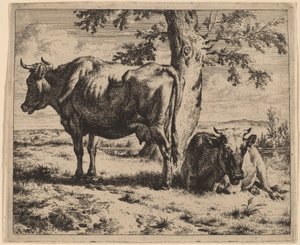 Two Cows under a Tree