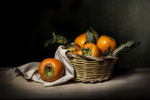 Rustic Persimmon Harvest by Adriana Vitale