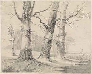 Winter Landscape