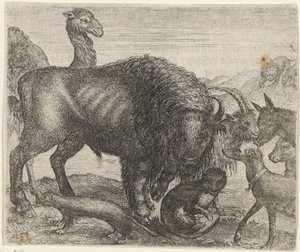 Fable of the Bison and Other Animals