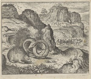 Fable of the Hedgehog and the Snake