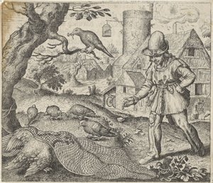 Fable of the Kite and the Cuckoo