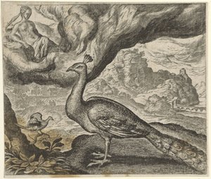 Fable of the Peacock and the Nightingale by Egidius  Sadeler (II)
