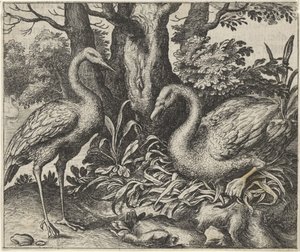 Fable of the Swan and the Stork