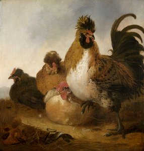 A Cock and Hens