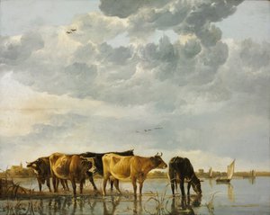 Cattle in the Water by Aelbert Cuyp