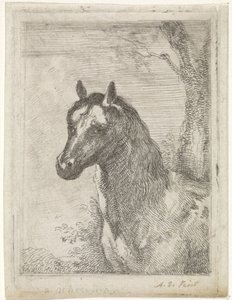 Horse head by Aert Schouman (signed by artist)