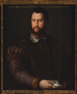 Portrait of Cosimo I de Medici, 1566