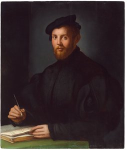 Portrait of a Young Man with a Book