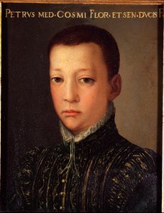 Portrait of Don Pietro de Medicis, Young Man by Agnolo Bronzino