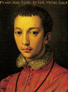 Portrait of Francesco I de Medici by Agnolo Bronzino