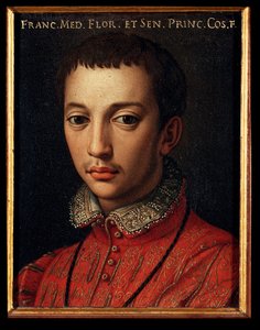 Portrait of Francesco I de Medici (1541-1587)