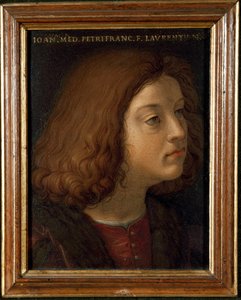 Portrait of Lorenzo di Pierfrancesco de