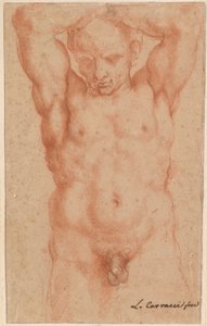 Male Nude by Agostino Carracci