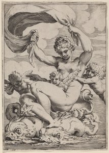Venus or Galatea Supported by Dolphins
