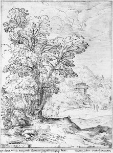 Wooded Landscape