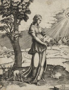 The Cumaean Sybil, 1516 by Agostino Veneziano