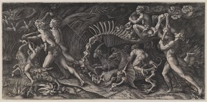 The Carcass (