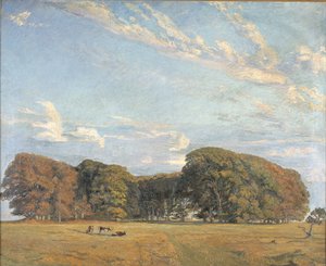 The Hermitage Plain by Aksel M. Lassen