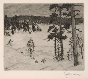 The Dark Veil of Winter by Akseli Gallen-Kallela