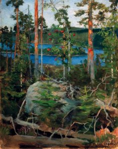 Landscape at Lake Jama by Akseli Valdemar Gallen Kallela