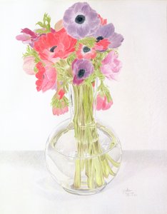 Anemonies, 1982