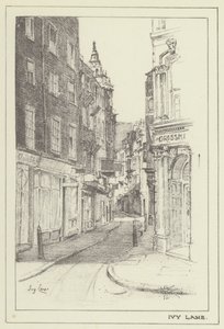 Ivy Lane